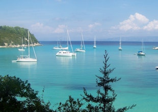 Ever heard of PAXOS: It's a Paradise for Families? Ever heard of PAXOS: It's a Paradise for Families?