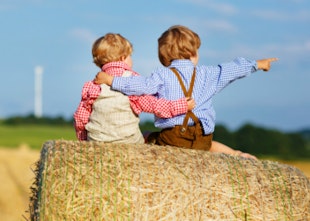 Plagued With Hay Fever? Top Tips For Hay Fever Sufferers As Pollen Count Skyrockets Plagued With Hay Fever? Top Tips For Hay Fever Sufferers As Pollen Count Skyrockets
