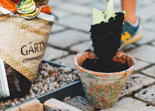 How To Make The Most Of A Small Garden For Children How To Make The Most Of A Small Garden For Children