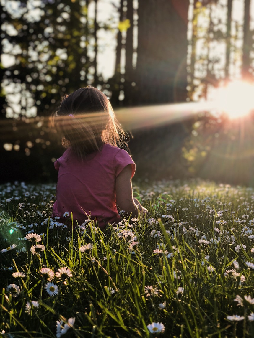 Little girl in a meadow