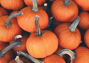 Halloween Events To Check Out This Autumn Halloween Events To Check Out This Autumn
