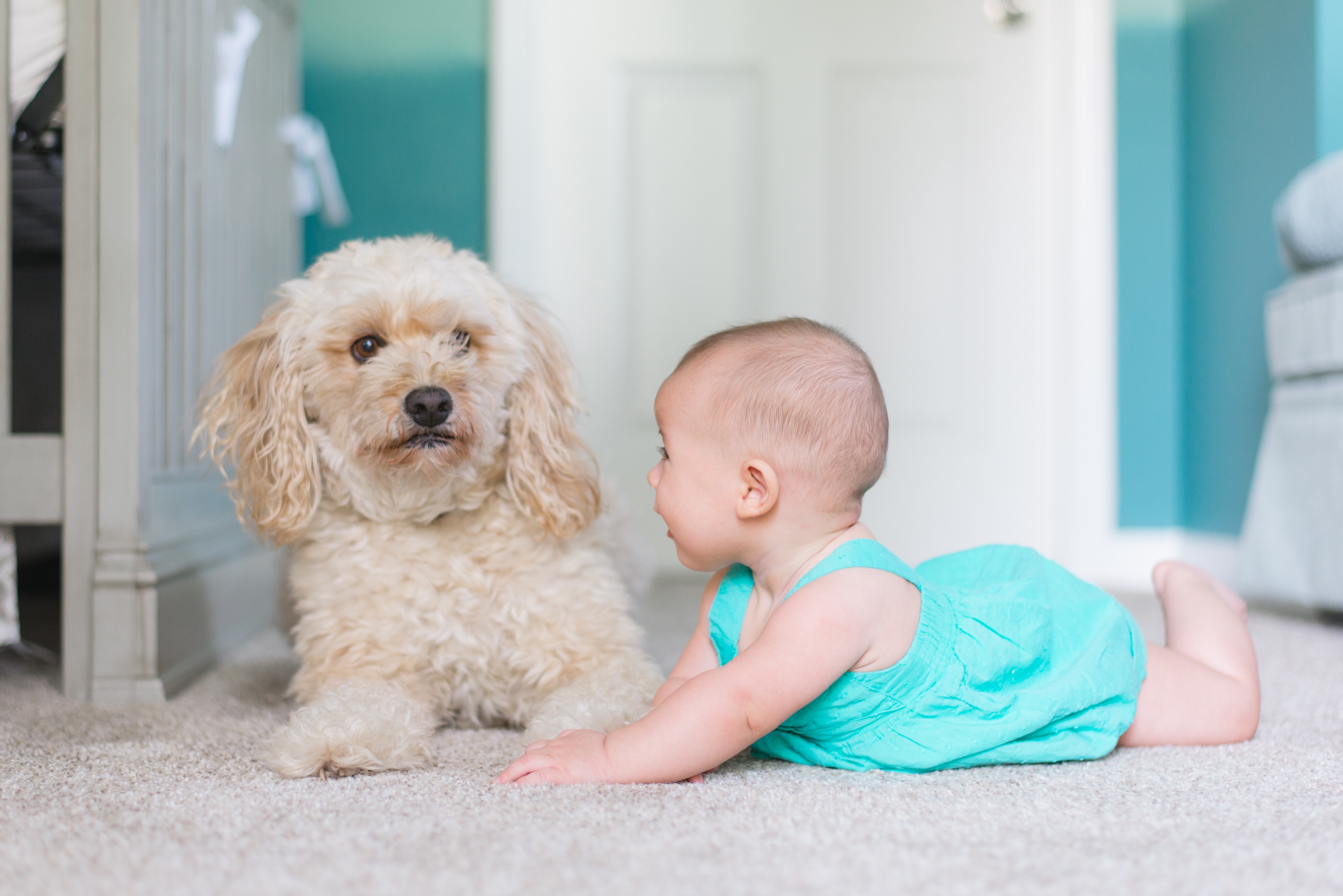 What Do I Need To Consider When Choosing My Baby
