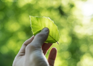 Simple Ways To Help Win The War Against Plastic Simple Ways To Help Win The War Against Plastic