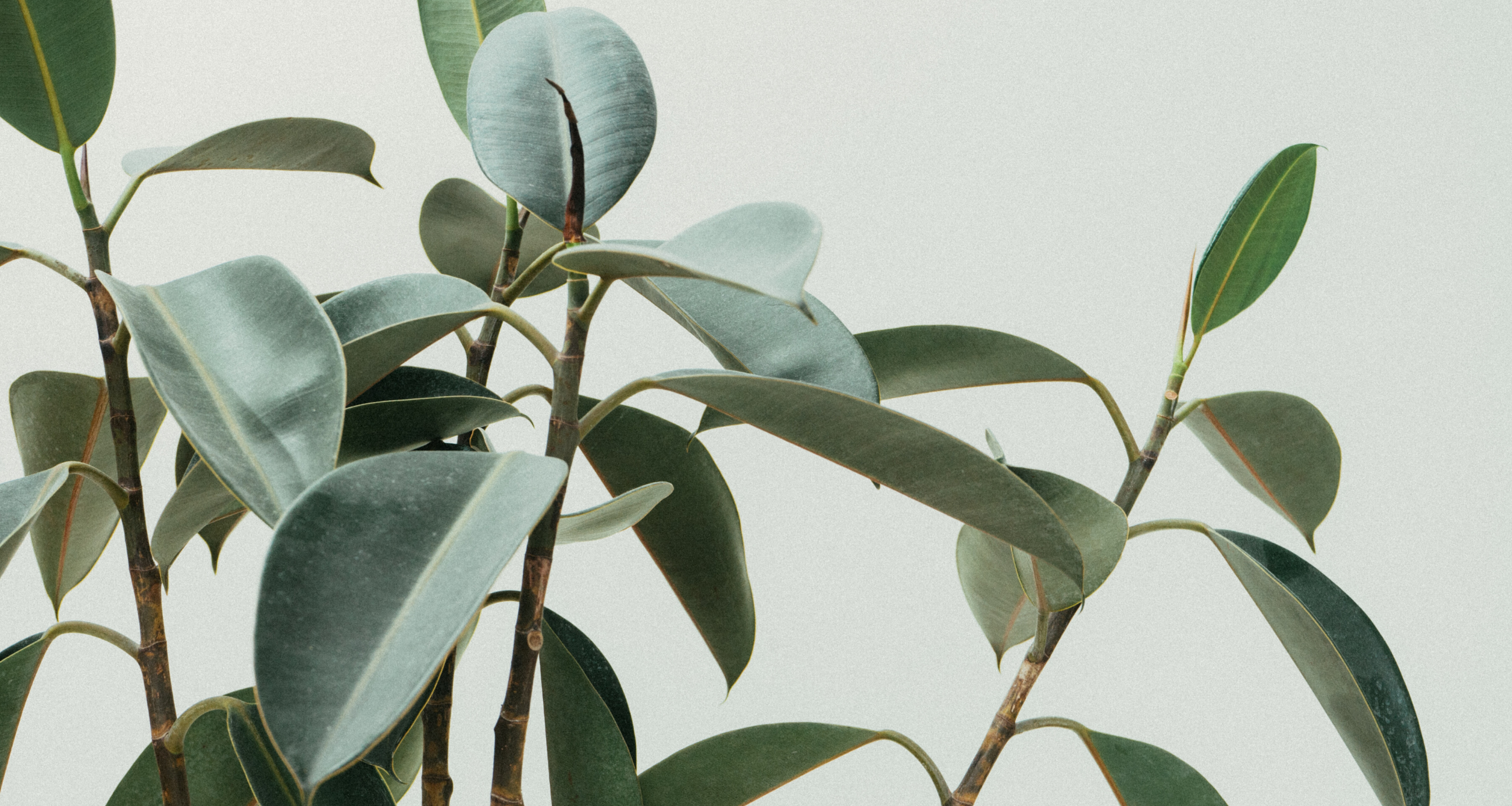 How To Create A Relaxing Atmosphere In Your Home 